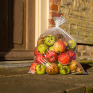 Poly Bag 30.5cm x 45cm 45mic